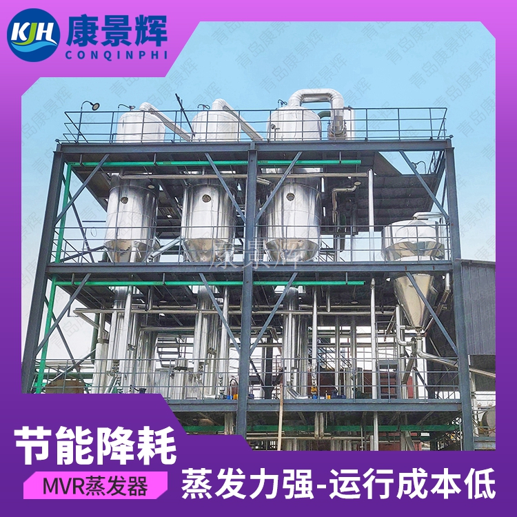 甘氨酸結晶母液蒸發(fā)系統